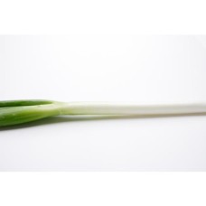 Leek / Negi (200g) Leek / Negi (200g)