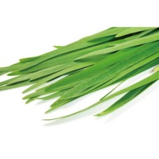 Nira (100g) Nira (100g)