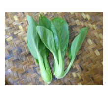 Chingensai Organic / Pakcoy (150Gr) Chingensai Organic / Pakcoy (150Gr)