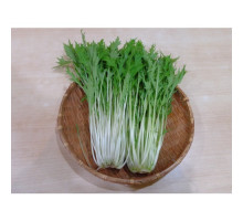 Mizuna Organic (150Gr) Mizuna Organic (150Gr)