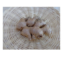 Ginger Organic (150Gr) Ginger Organic (150Gr)