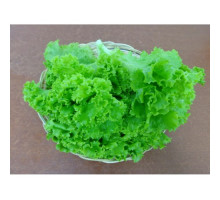 Pleated Lettuce Organic (150Gr) Pleated Lettuce Organic (150Gr)