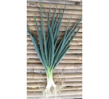 Leek Organic (200g) Leek Organic (200g)