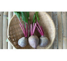 Beetroot Organic(200g) Beetroot Organic(200g)
