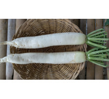 Daikon (Japanese Radish)Organic (500g) Daikon (Japanese Radish)Organic (500g)