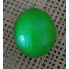 Lemon Organic (150g/pc) Lemon Organic (150g/pc)