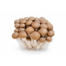 Shimeji Brown(150Gr) Shimeji Brown(150Gr)