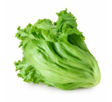 Lettuce Head Organic (300g) Lettuce Head Organic (300g)