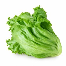 Lettuce Head Organic (300g) Lettuce Head Organic (300g)