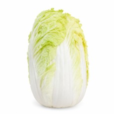 Chinese Cabbage / Sawi Putih  (1000g)