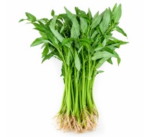Kangkung Organic (150g)