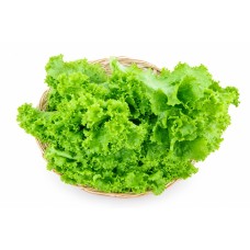 Pleated Lettuce Organic (150g) Pleated Lettuce Organic (150g)