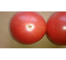 Tomato Organic (200g/pack) Tomato Organic (200g/pack)
